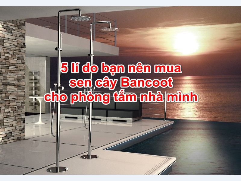 5 lí do bạn nên mua sen cây Bancoot cho phòng tắm nhà mình | Thiết bị vệ sinh cao cấp